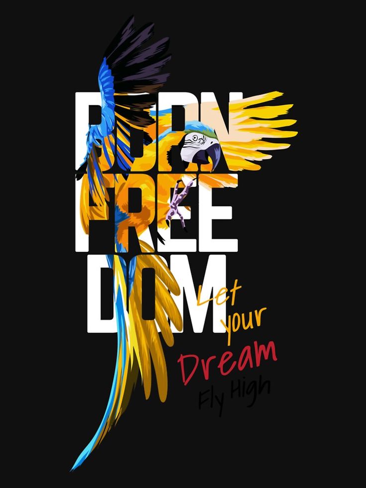 Regular Hoodie - Black Freedom