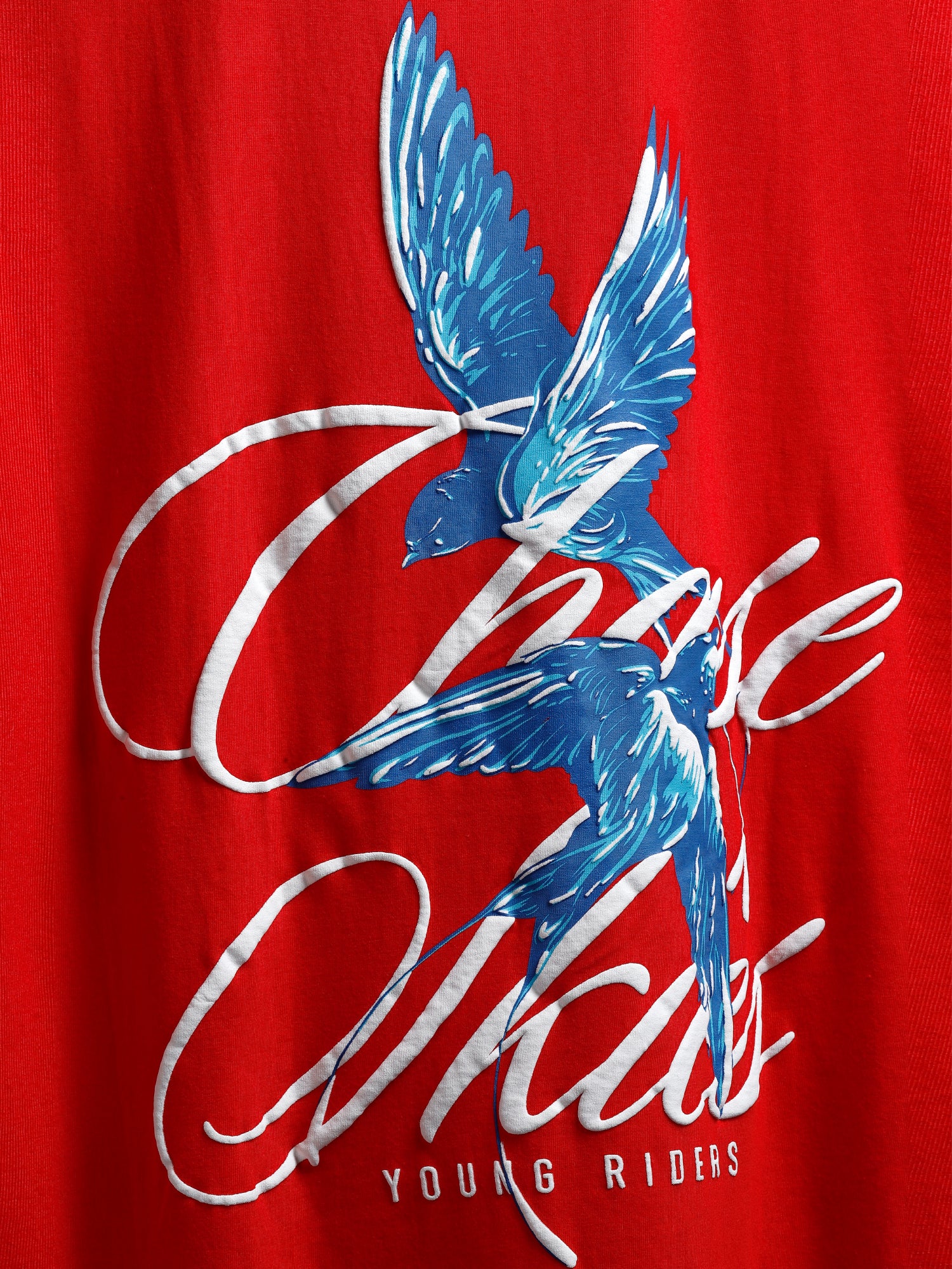 Red Wings of Rebellion – Oversized Unisex T Shirt